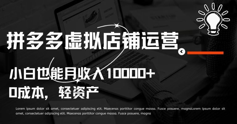 拼多多虚拟店铺运营小白也能月收入10000+【揭秘】-甄选网创