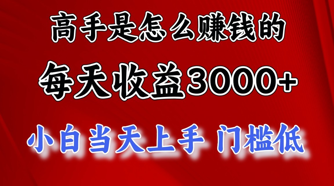 高手是怎么赚钱的，一天收益3000+，闷声发财项目，不是一般人能看懂的-甄选网创