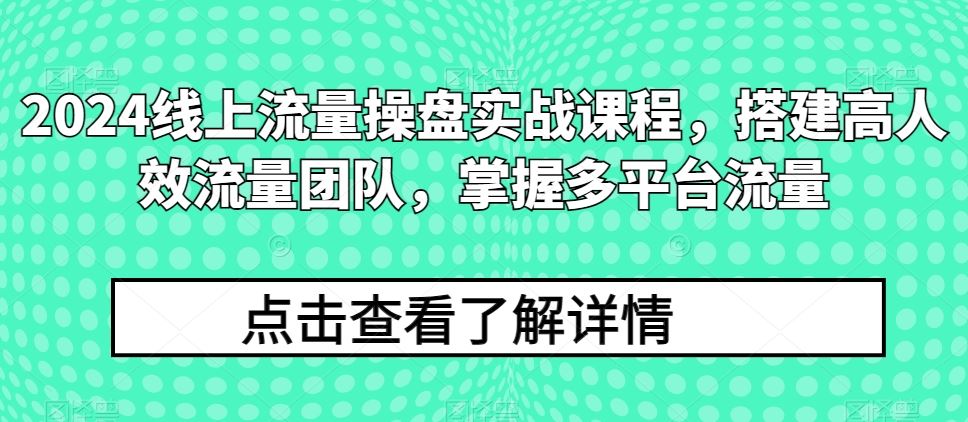 2024线上流量操盘实战课程，搭建高人效流量团队，掌握多平台流量-甄选网创