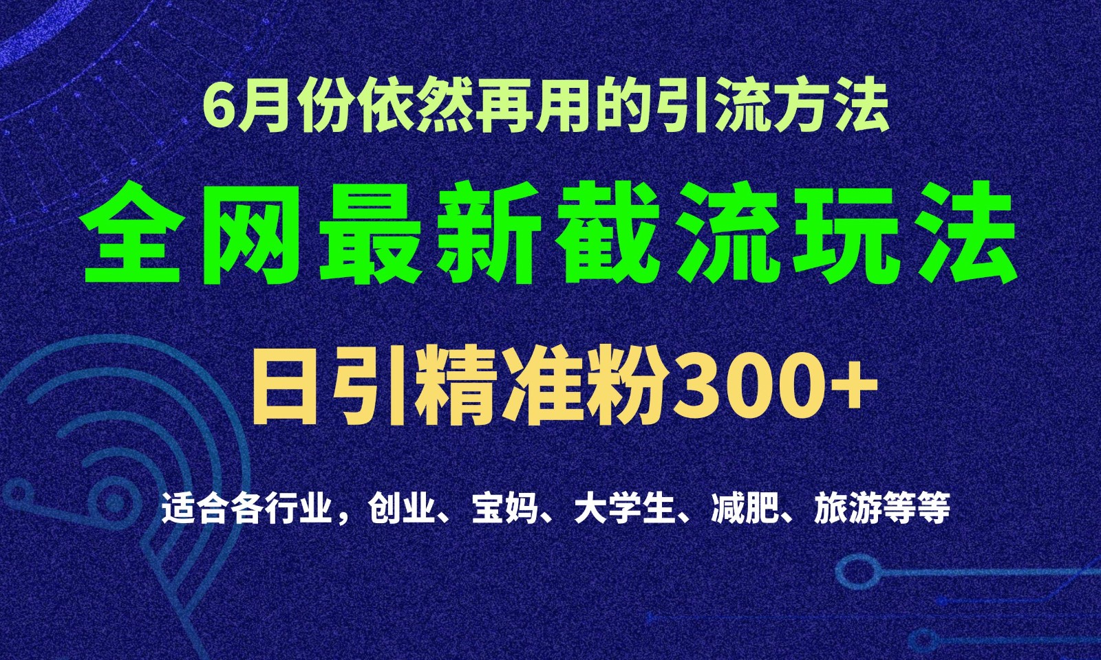 2024全网最新截留玩法，每日引流突破300+-甄选网创