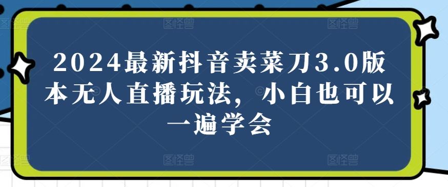 2024最新抖音卖菜刀3.0版本无人直播玩法，小白也可以一遍学会【揭秘】-甄选网创