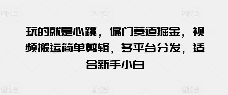 玩的就是心跳，偏门赛道掘金，视频搬运简单剪辑，多平台分发，适合新手小白【揭秘】-甄选网创