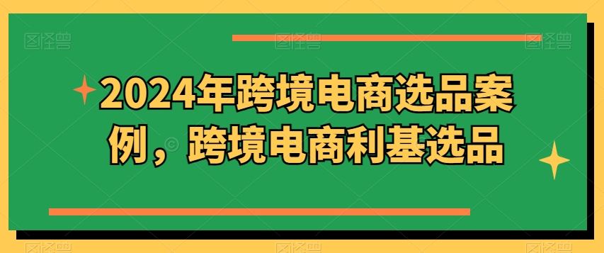 2024年跨境电商选品案例，跨境电商利基选品-甄选网创