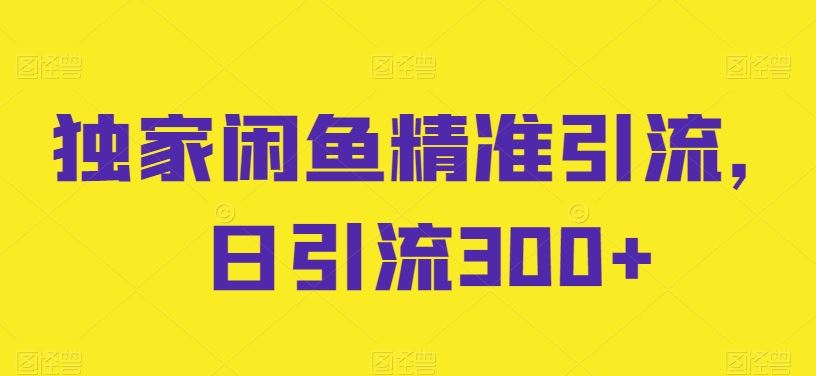 独家闲鱼精准引流，日引流300+【揭秘】-甄选网创