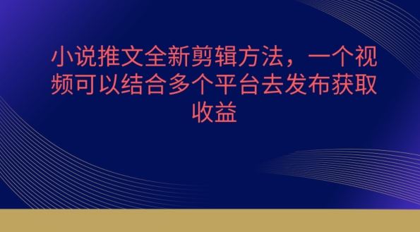 小说推文全新剪辑方法，一个视频可以结合多个平台去发布获取【揭秘】-甄选网创