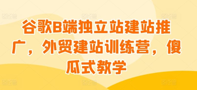 谷歌B端独立站建站推广，外贸建站训练营，傻瓜式教学-甄选网创