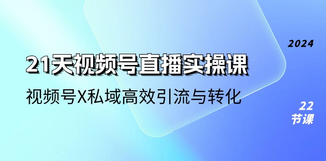 21天视频号直播实操课，视频号X私域高效引流与转化（22节课）-甄选网创