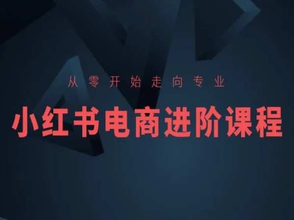 从零开始走向专业，小红书电商进阶课程-甄选网创