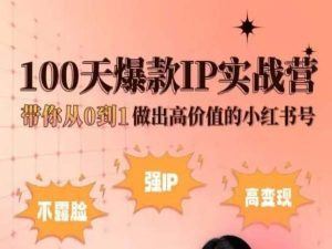 小红书100天爆款IP实战营，带你从0到1做出高价值的小红书号-甄选网创