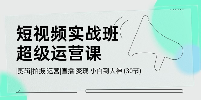 短视频实战班超级运营课 |剪辑|拍摄|运营|直播|变现 小白到大神 (30节)-甄选网创