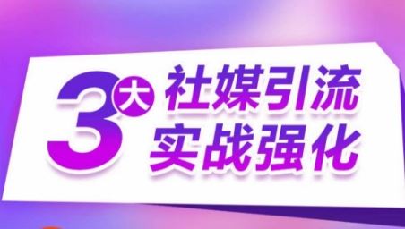 3大社媒引流实战强化，多渠道站外引流，高效精准获客，订单销售额翻倍增长-甄选网创