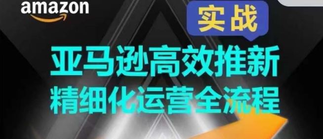 亚马逊高效推新精细化运营全流程，全方位、快速拉升产品排名和销量!-甄选网创