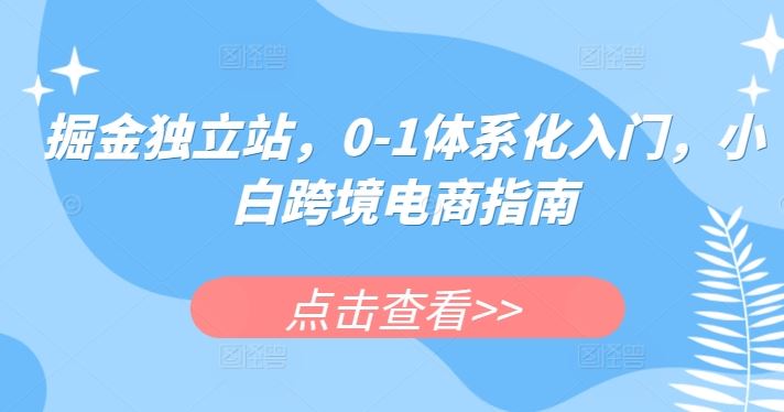 掘金独立站，0-1体系化入门，小白跨境电商指南-甄选网创