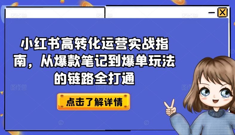 小红书高转化运营实战指南，从爆款笔记到爆单玩法的链路全打通-甄选网创