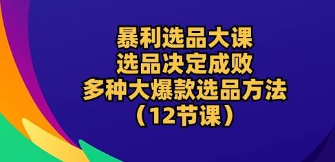 暴利选品大课：选品决定成败，教你多种大爆款选品方法(12节课)-甄选网创