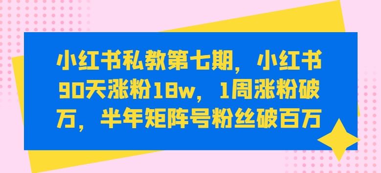 小红书私教第七期，小红书90天涨粉18w，1周涨粉破万，半年矩阵号粉丝破百万-甄选网创