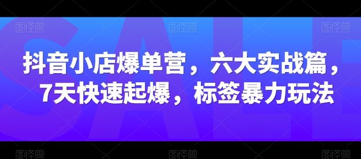 抖音小店爆单营，六大实战篇，7天快速起爆，标签暴力玩法-甄选网创