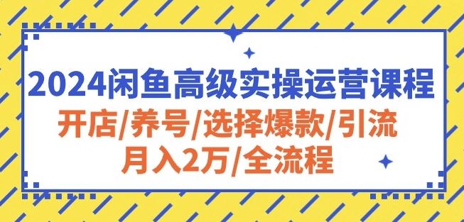 2024闲鱼高级实操运营课程：开店/养号/选择爆款/引流/月入2万/全流程-甄选网创