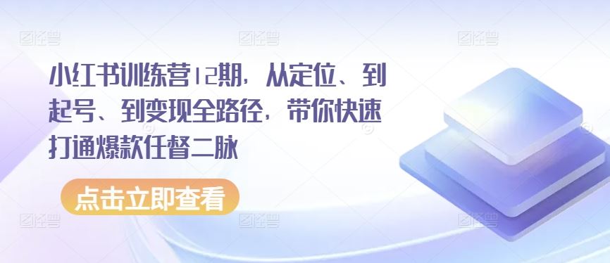 小红书训练营12期，从定位、到起号、到变现全路径，带你快速打通爆款任督二脉-甄选网创