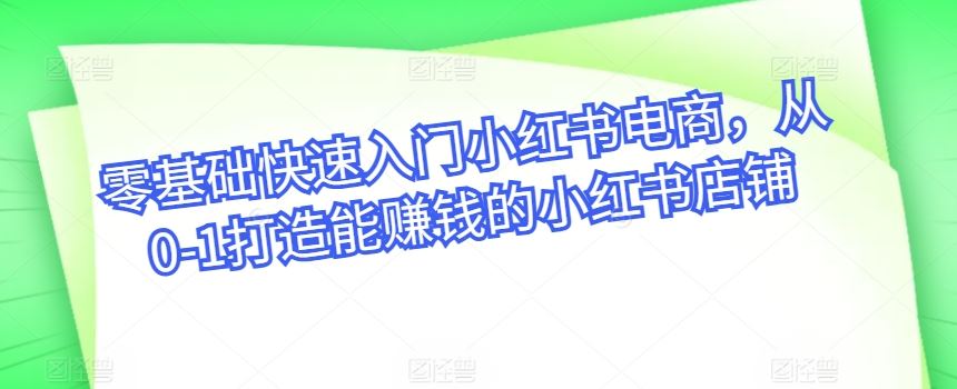 零基础快速入门小红书电商，从0-1打造能赚钱的小红书店铺-甄选网创