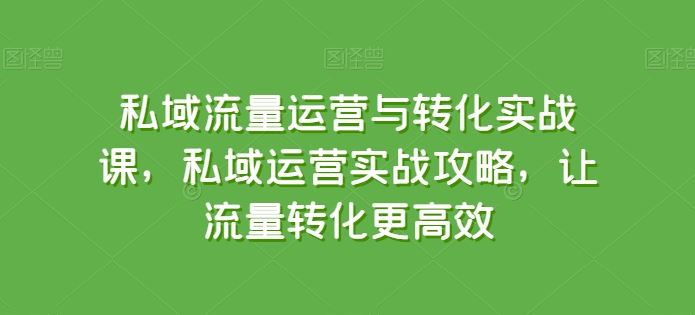 私域流量运营与转化实战课，私域运营实战攻略，让流量转化更高效-甄选网创