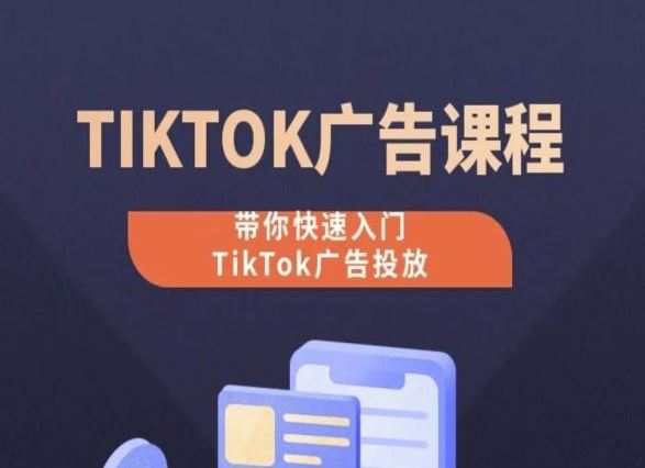 TikTok广告投放课程，从0-1实操课，带你快速入门TikTok广告投放-甄选网创