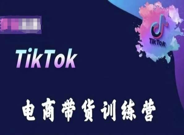 TikTok电商带货训练营，跟随时代潮流，跨境掘金-甄选网创