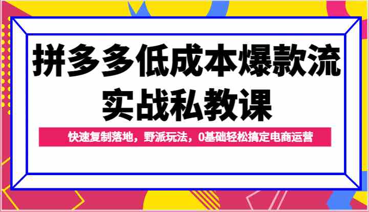 拼多多低成本爆款流实战私教课，快速复制落地，野派玩法，0基础轻松搞定电商运营-甄选网创