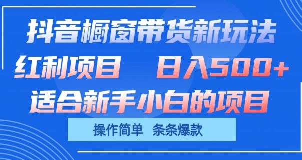 抖音橱窗带货新玩法，单日收益几张，操作简单，条条爆款【揭秘】-甄选网创