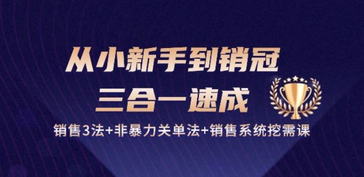 从小新手到销冠 三合一速成：销售3法+非暴力关单法+销售系统挖需课 (27节)-甄选网创