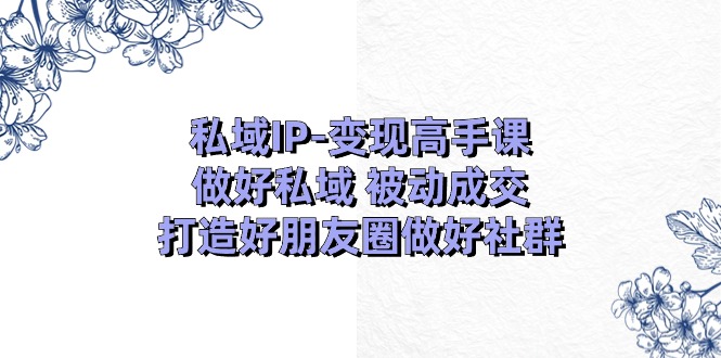 私域IP变现高手课：做好私域被动成交，打造好朋友圈做好社群（18节）-甄选网创