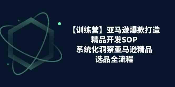 亚马逊爆款打造之精品开发SOP【训练营】，系统化洞察亚马逊精品选品全流程-甄选网创