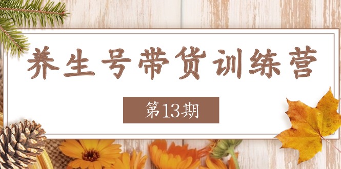 养生号带货训练营【第13期】收益更稳定的玩法，让你带货收益爆炸-甄选网创