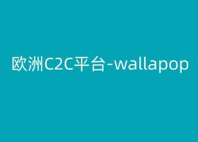 欧洲C2C平台-wallapop-kim跨境电商教程-甄选网创