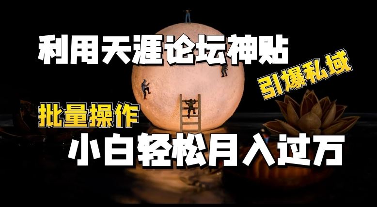 利用天涯论坛神贴，引爆私域，批量操作，小白轻松月入过w【揭秘】-甄选网创