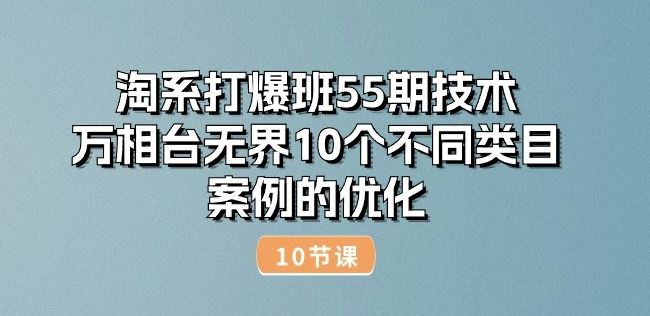 淘系打爆班55期技术：万相台无界10个不同类目案例的优化(10节)-甄选网创