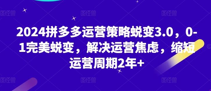 2024拼多多运营策略蜕变3.0，0-1完美蜕变，解决运营焦虑，缩短运营周期2年+-甄选网创