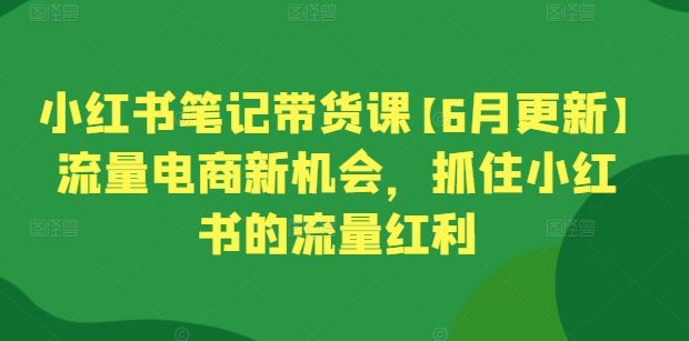 小红书笔记带货课【6月更新】流量电商新机会，抓住小红书的流量红利-甄选网创