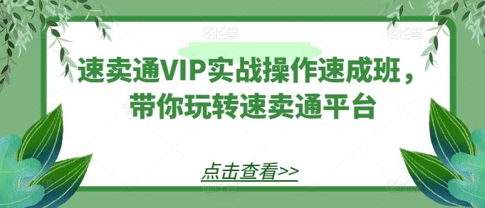 速卖通VIP实战操作速成班，带你玩转速卖通平台-甄选网创