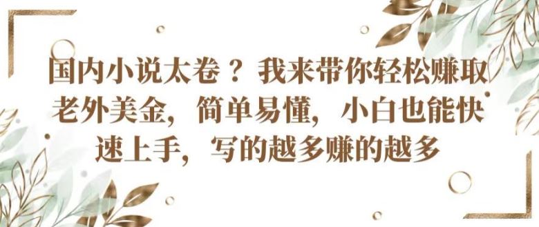 国内小说太卷 ?带你轻松赚取老外美金，简单易懂，小白也能快速上手，写的越多赚的越多【揭秘】-甄选网创