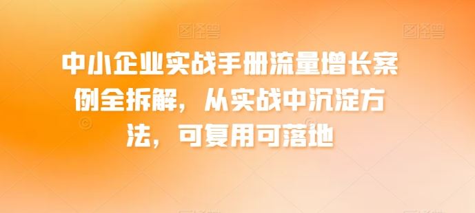 中小企业实战手册流量增长案例全拆解，从实战中沉淀方法，可复用可落地-甄选网创