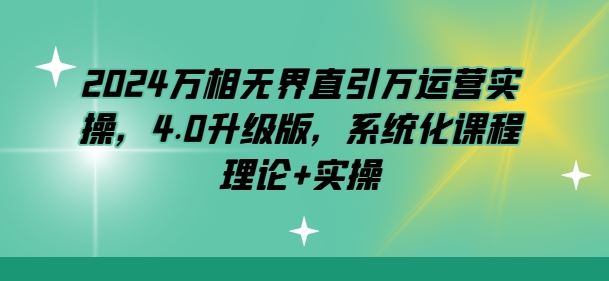 2024万相无界直引万运营实操，4.0升级版，系统化课程 理论+实操-甄选网创