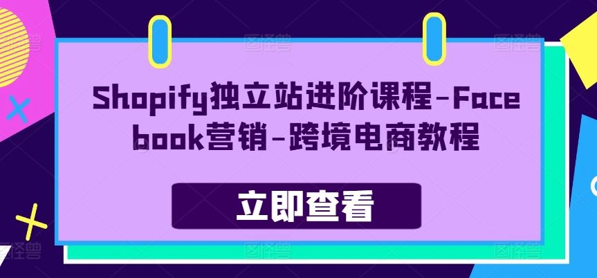 Shopify独立站进阶课程-Facebook营销-跨境电商教程-甄选网创