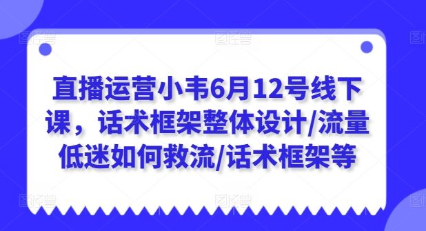 直播运营小韦6月12号线下课，话术框架整体设计/流量低迷如何救流/话术框架等-甄选网创