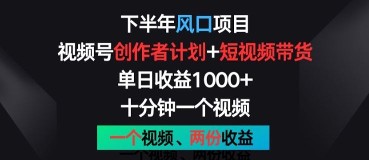 下半年风口项目，视频号创作者计划+视频带货，一个视频两份收益，十分钟一个视频【揭秘】-甄选网创