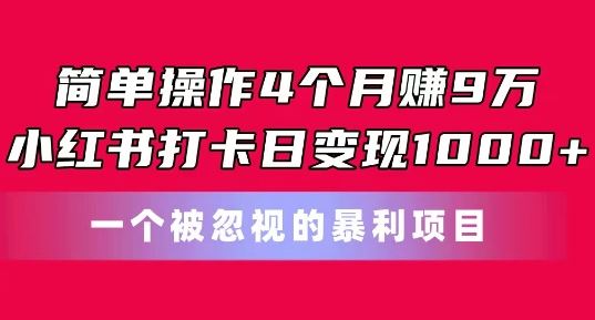 简单操作4个月赚9w，小红书打卡日变现1k，一个被忽视的暴力项目【揭秘】-甄选网创