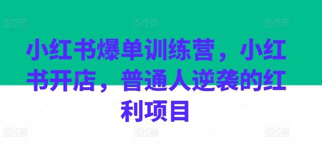 小红书爆单训练营，小红书开店，普通人逆袭的红利项目-甄选网创