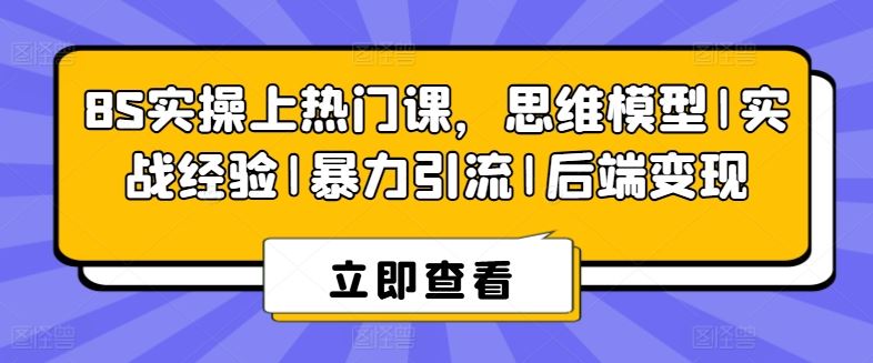 8S实操上热门课，思维模型|实战经验|暴力引流|后端变现-甄选网创