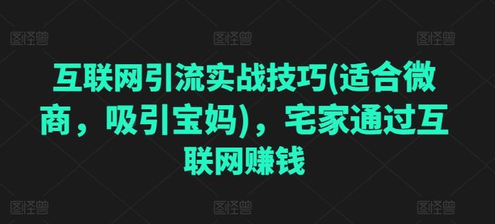 互联网引流实战技巧(适合微商，吸引宝妈)，宅家通过互联网赚钱-甄选网创