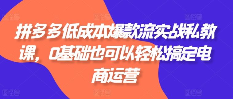 拼多多低成本爆款流实战私教课，0基础也可以轻松搞定电商运营-甄选网创